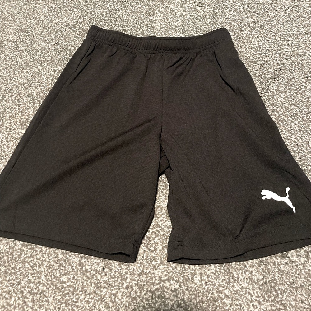 Puma Team Shorts